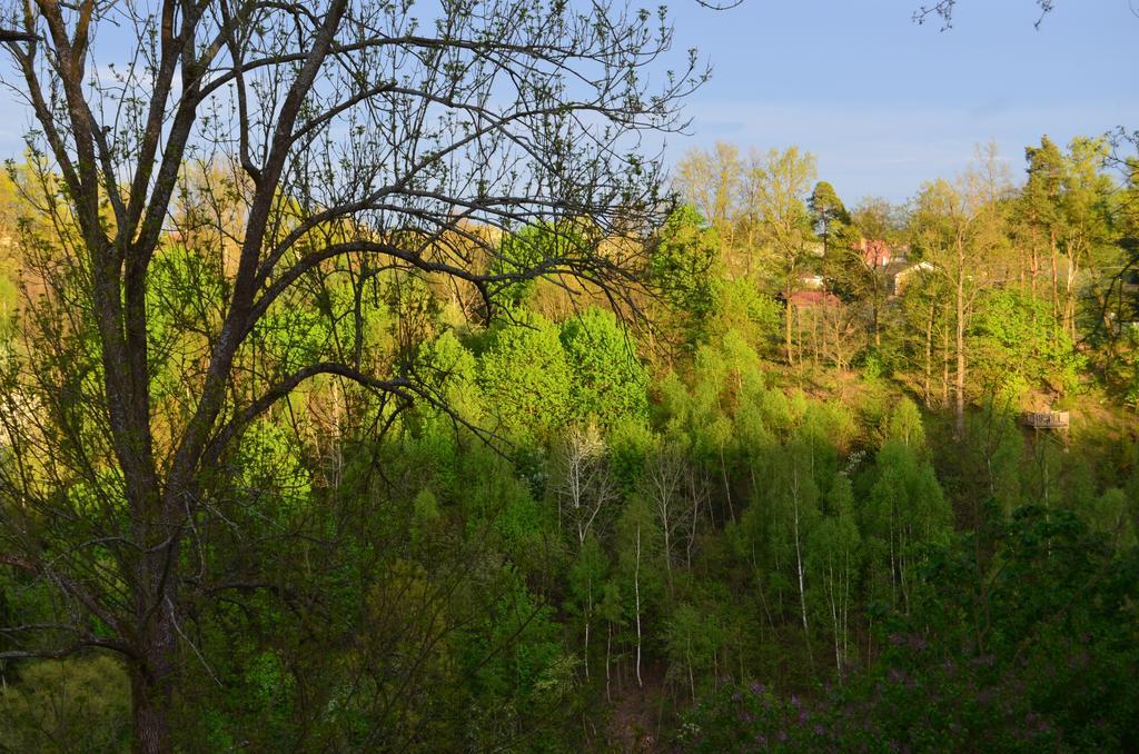 Penzion Vila Elektra Бехине Экстерьер фото